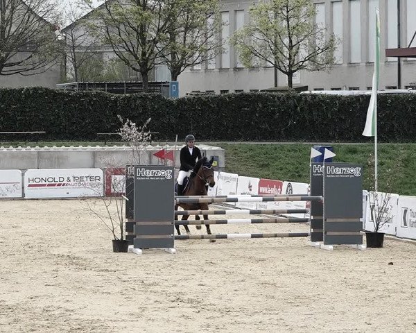 Reitturnier Amriswil 2023
