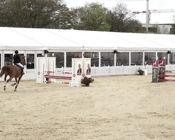 Reitturnier Amriswil 2023