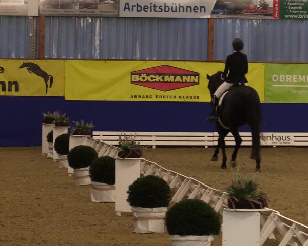Dressurturnier Isterberg 2021