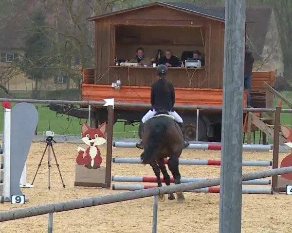 Reitturnier Altentrüdingen/Mfr. 2023