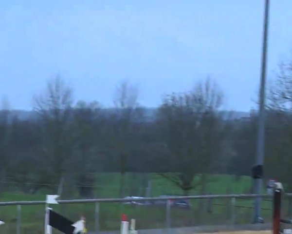 Reitturnier Altentrüdingen/Mfr. 2023
