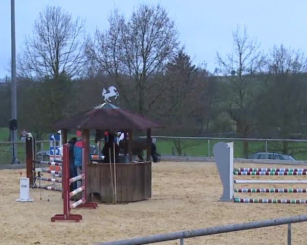 Reitturnier Altentrüdingen/Mfr. 2023