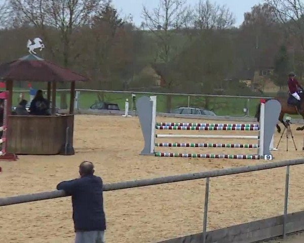Reitturnier Altentrüdingen/Mfr. 2023