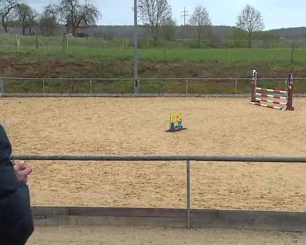 Reitturnier Altentrüdingen/Mfr. 2023