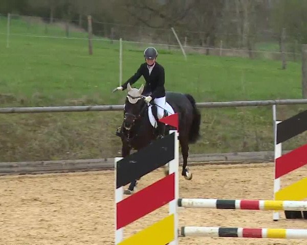 Reitturnier Altentrüdingen/Mfr. 2023