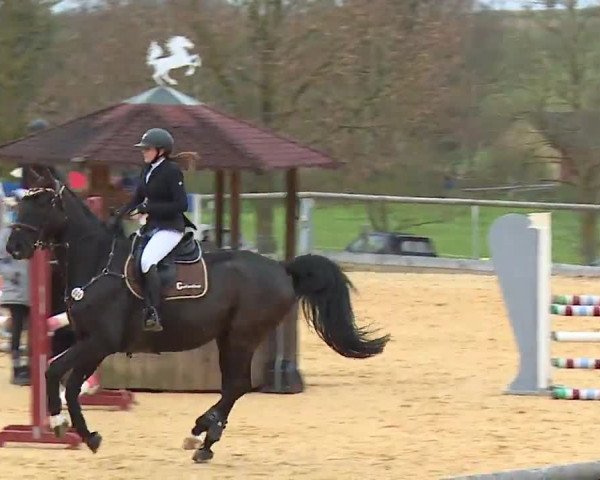 Reitturnier Altentrüdingen/Mfr. 2023