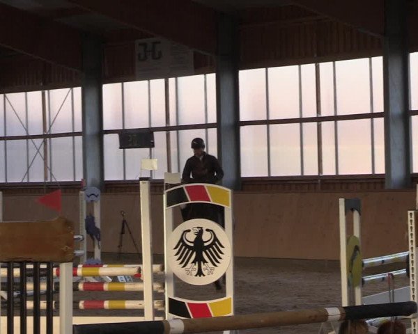 Reitturnier Polzow 2021