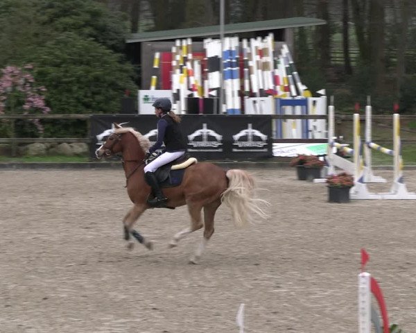 Reitturnier Klein Roscharden 2023