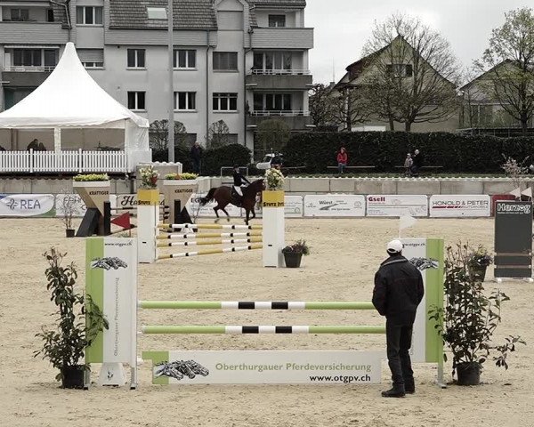 Reitturnier Amriswil 2023