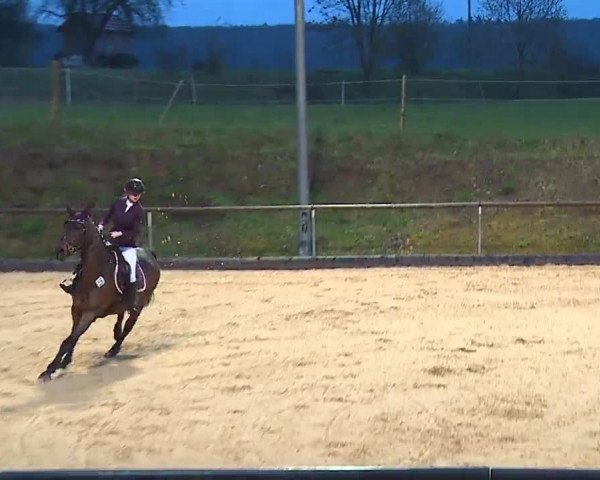 Reitturnier Altentrüdingen/Mfr. 2023