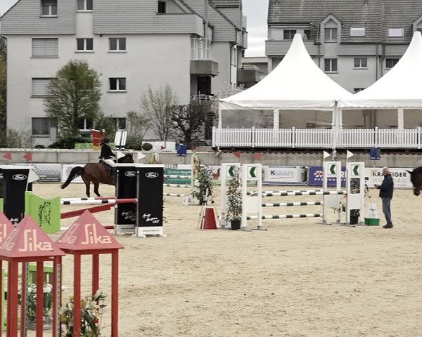 Reitturnier Amriswil 2023