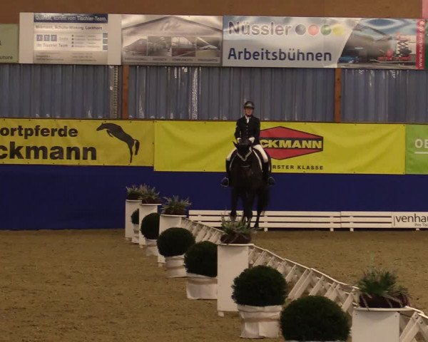 Dressurturnier Isterberg 2021