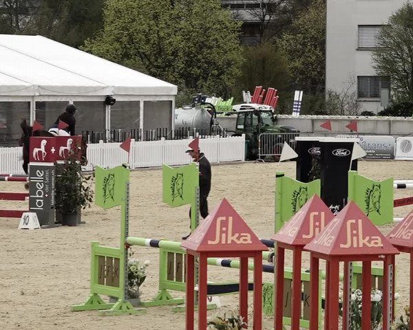 Reitturnier Amriswil 2023