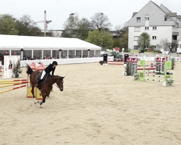 Reitturnier Amriswil 2023