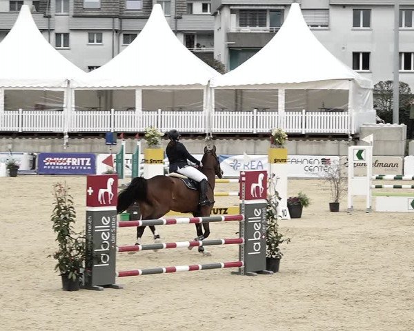 Reitturnier Amriswil 2023