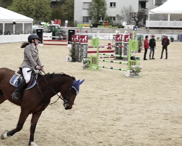 Reitturnier Amriswil 2023