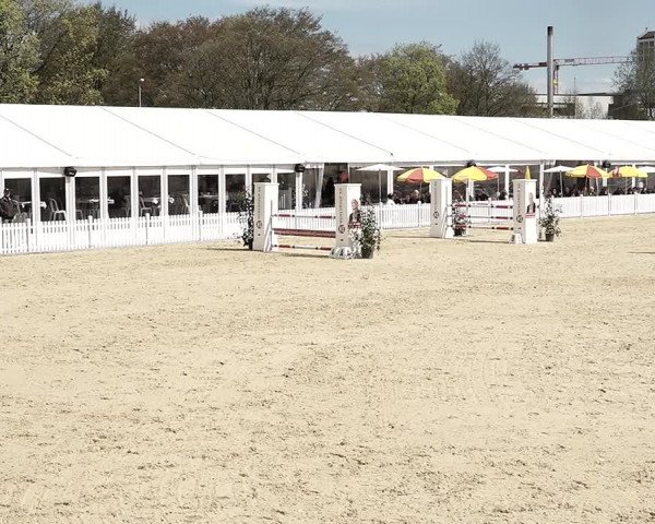 Reitturnier Amriswil 2023