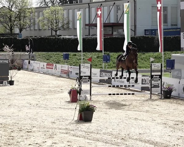 Reitturnier Amriswil 2023