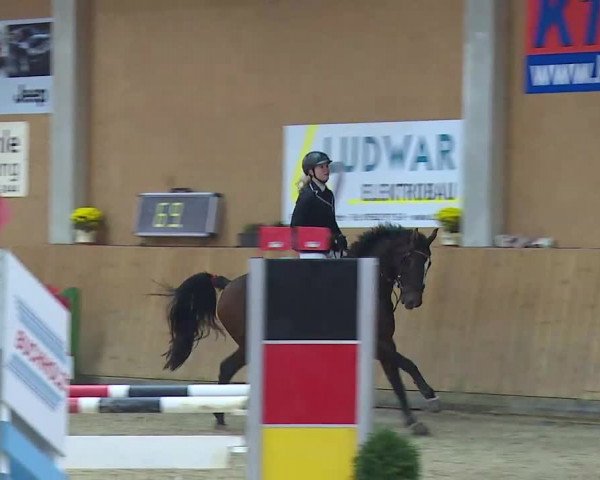 Reitturnier Grafenrheinfeld/Ufr. 2021