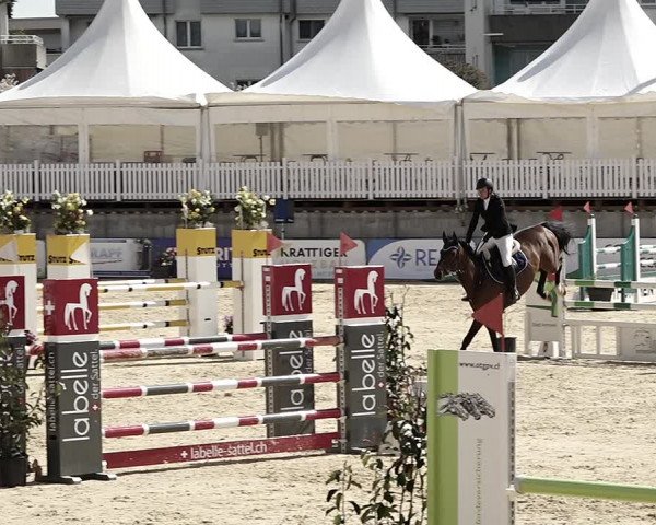 Reitturnier Amriswil 2023
