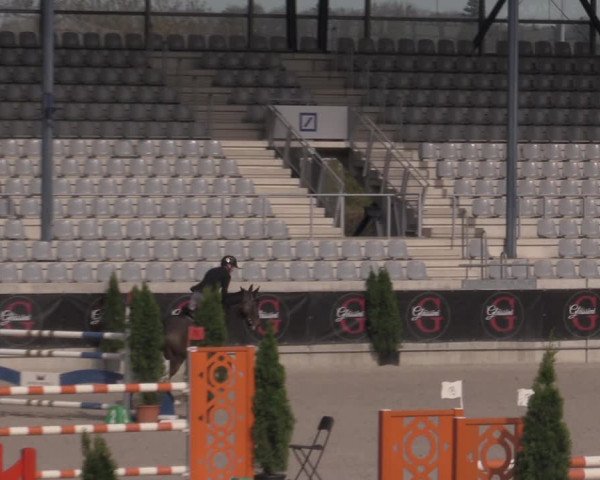 Reitturnier Aachen 2023