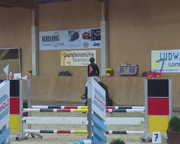 Reitturnier Grafenrheinfeld/Ufr. 2021