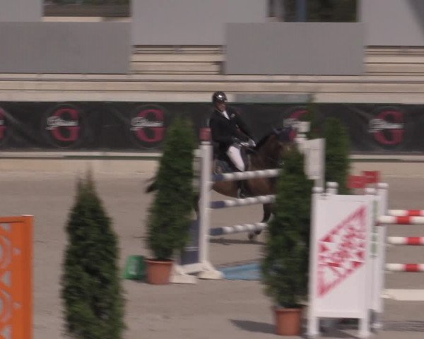 Reitturnier Aachen 2023