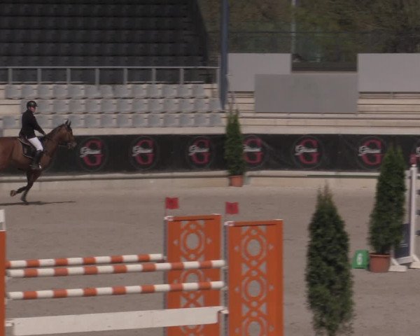 Reitturnier Aachen 2023