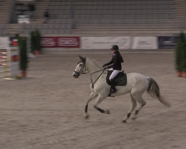Reitturnier Aachen 2023