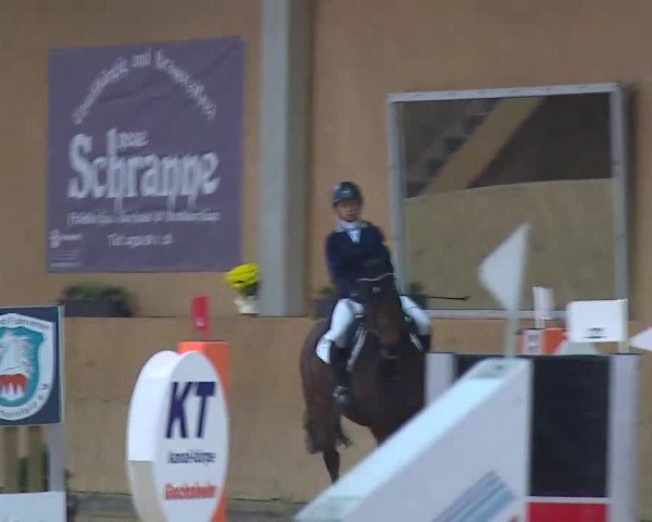 Reitturnier Grafenrheinfeld/Ufr. 2021
