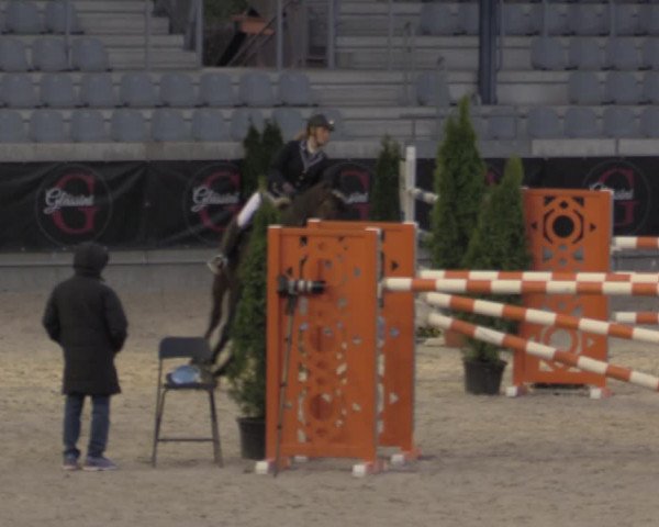 Reitturnier Aachen 2023