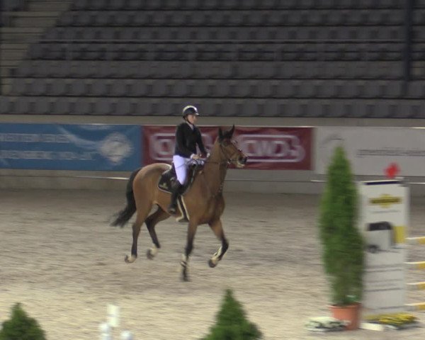 Reitturnier Aachen 2023