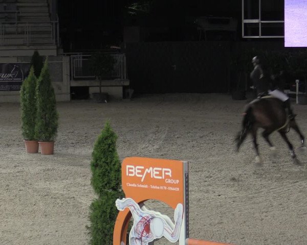 Reitturnier Aachen 2023
