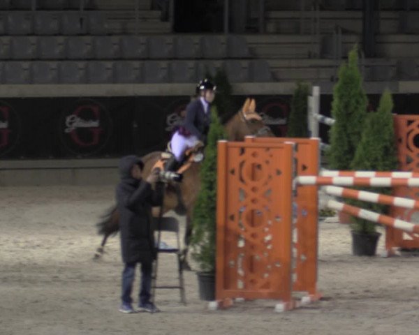 Reitturnier Aachen 2023