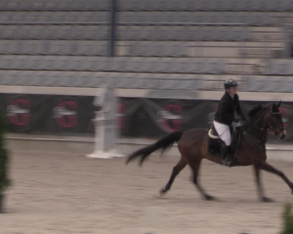 Reitturnier Aachen 2023
