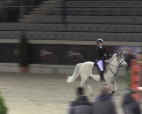 Reitturnier Aachen 2023