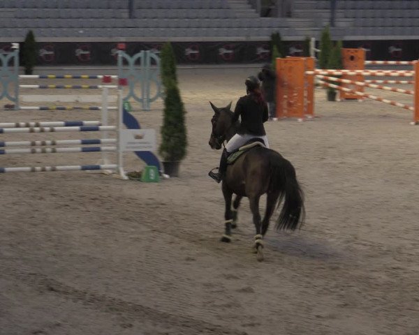 Reitturnier Aachen 2023