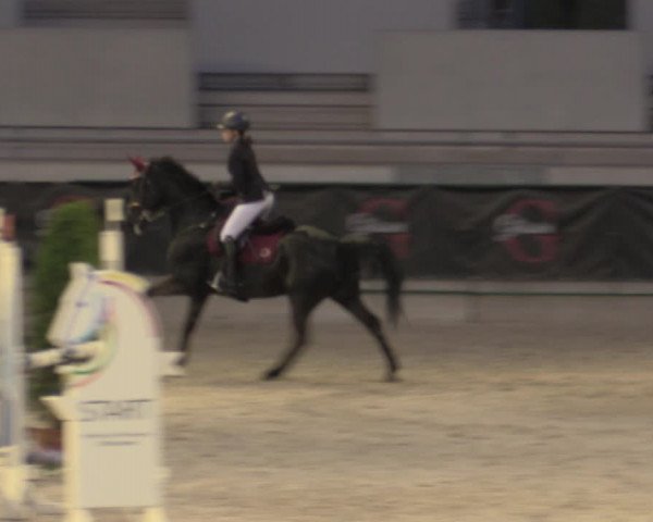 Reitturnier Aachen 2023