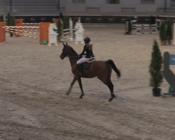Reitturnier Aachen 2023