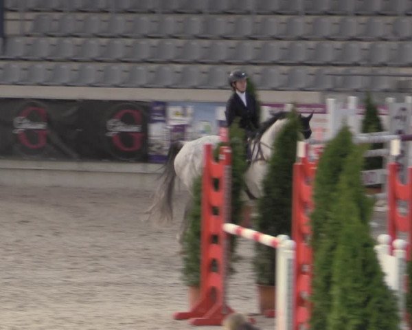 Reitturnier Aachen 2023