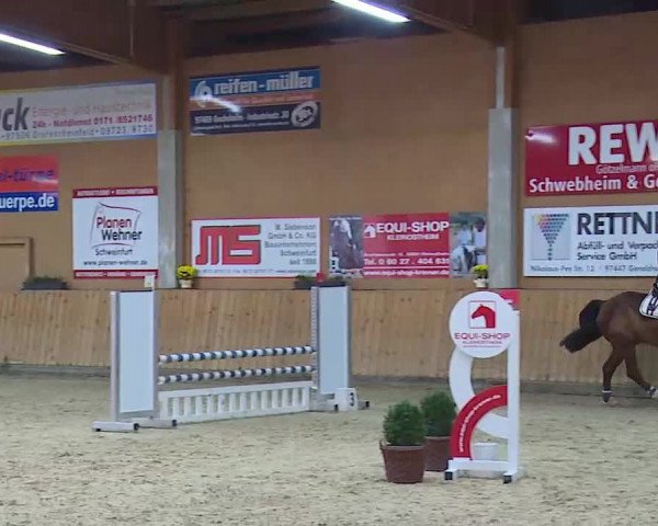 Reitturnier Grafenrheinfeld/Ufr. 2021