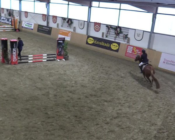 Reitturnier Borgholzhausen-Westbarthausen 2021