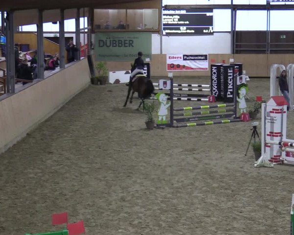 Reitturnier Borgholzhausen-Westbarthausen 2021