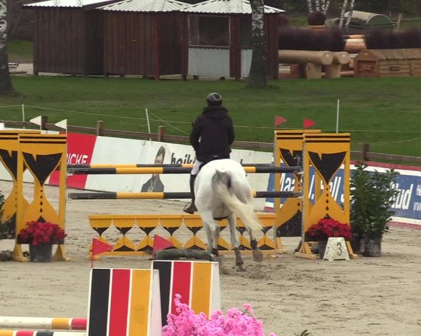 Reitturnier Westergellersen 2023
