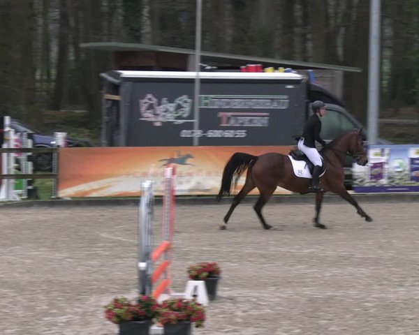Reitturnier Klein Roscharden 2023