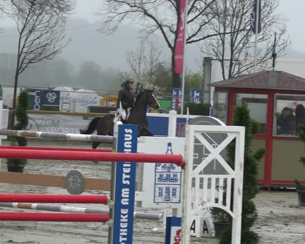 Reitturnier Werne-Lenklar 2023