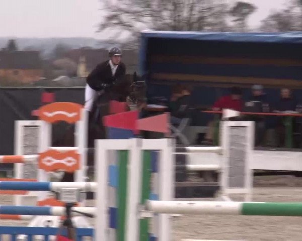 Reitturnier Poxdorf/Ofr 2023