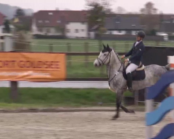 Reitturnier Poxdorf/Ofr 2023