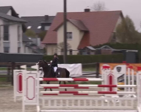 Reitturnier Poxdorf/Ofr 2023