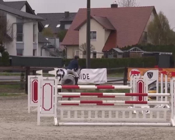 Reitturnier Poxdorf/Ofr 2023